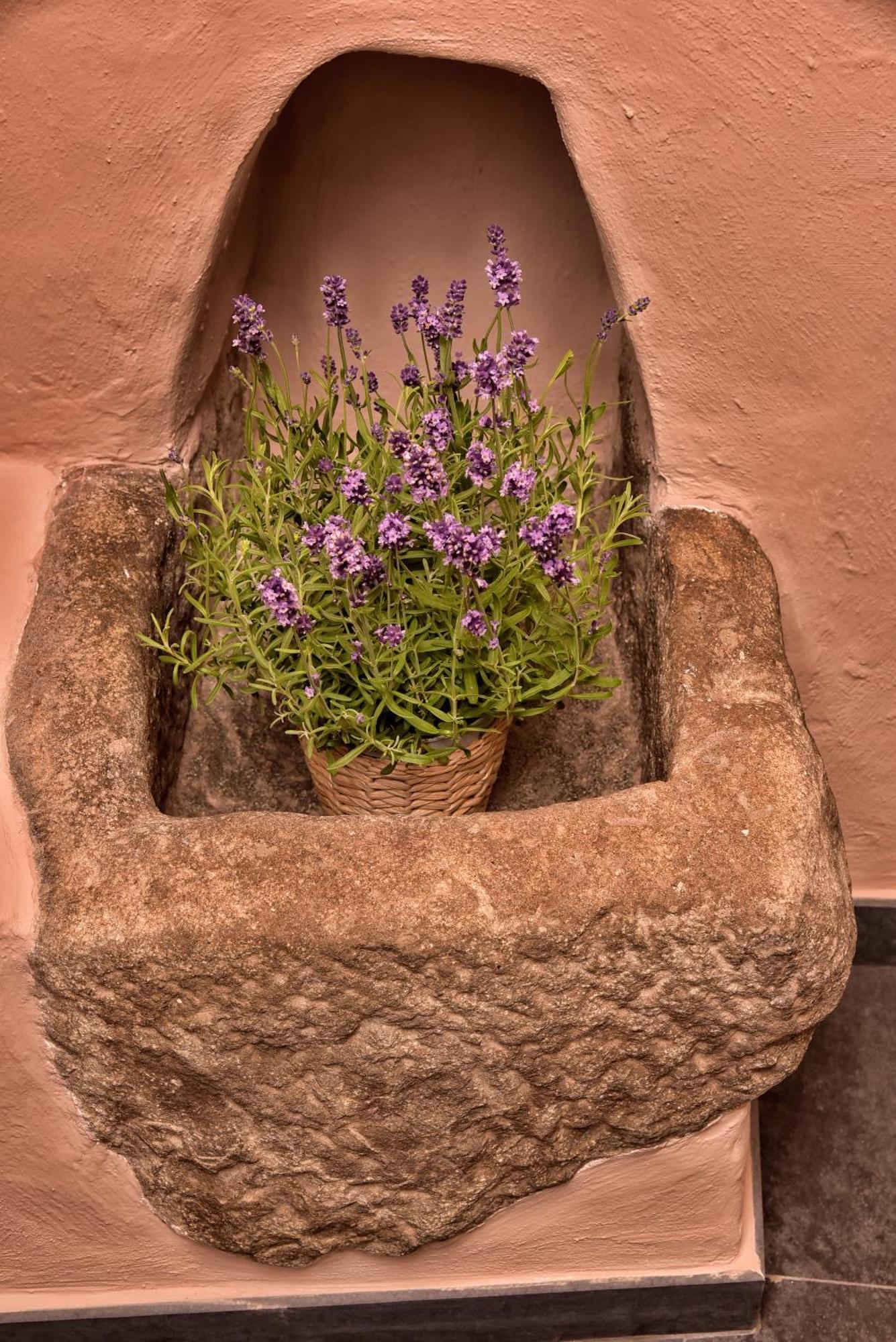 Casa Vacanze Tra I Monti E San Martino Biassa Kültér fotó