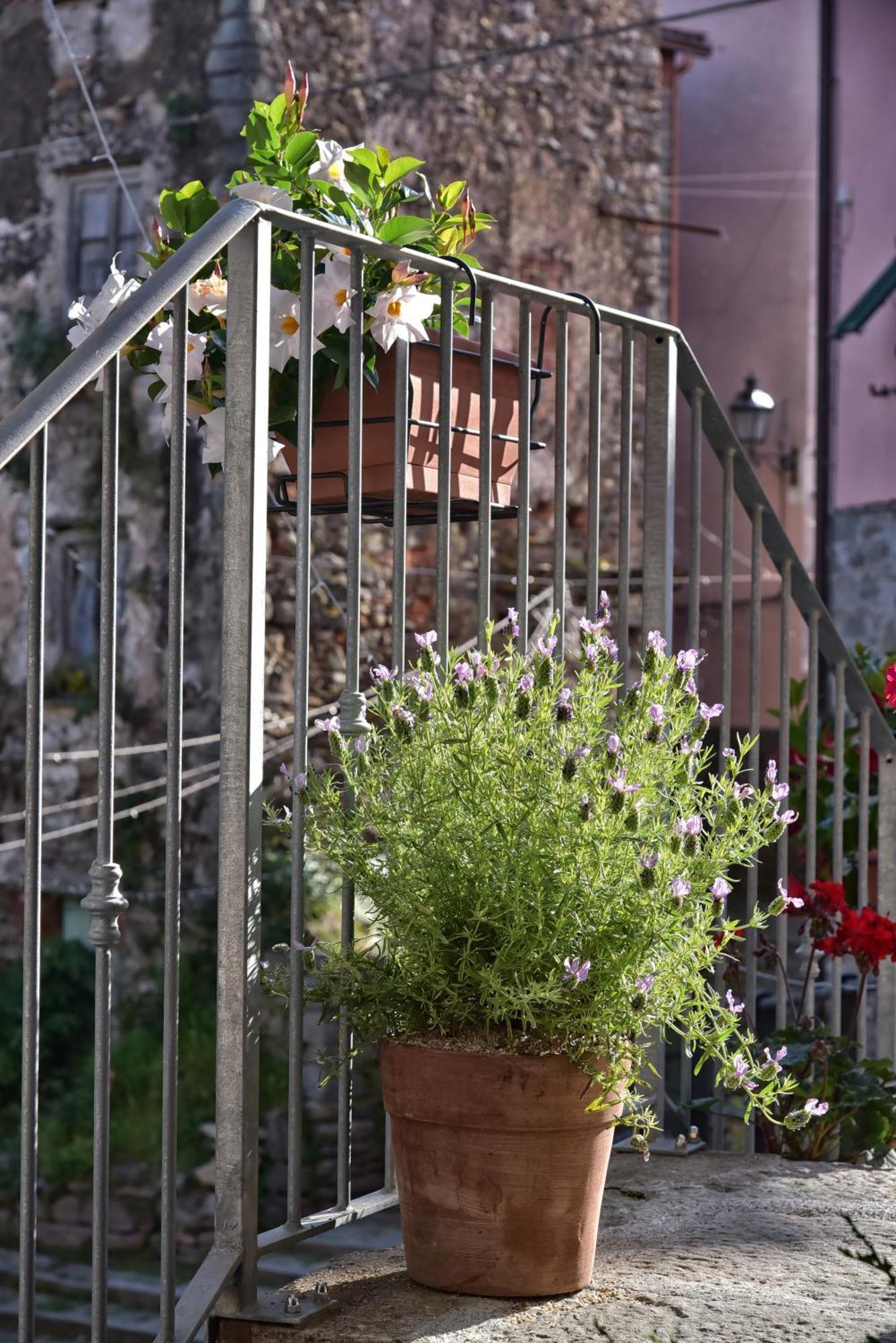Casa Vacanze Tra I Monti E San Martino Biassa Kültér fotó
